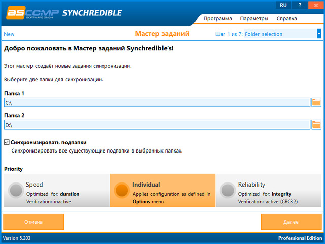 Synchredible Professional Edition