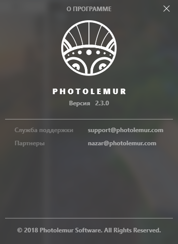 Photolemur