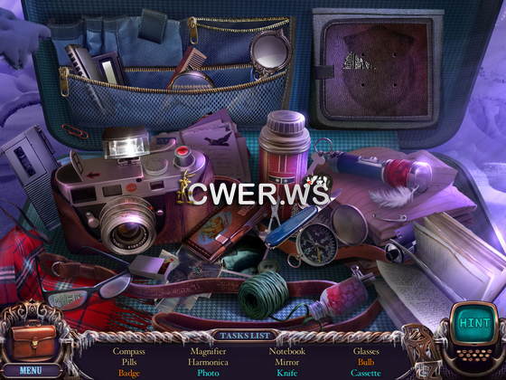 скриншот игры Mystery Case Files 11: Dire Grove, Sacred Grove Collector's Edition