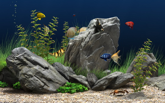 Dream Aquarium Screensaver 1.2592 (2013)| + Repack By Kpojiuk