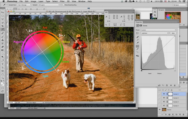 Adobe Photoshop. Допечатная подготовка изображений