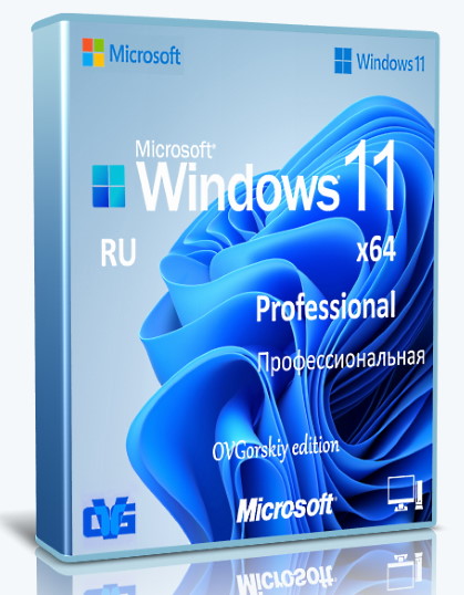 Windows 11 Professional