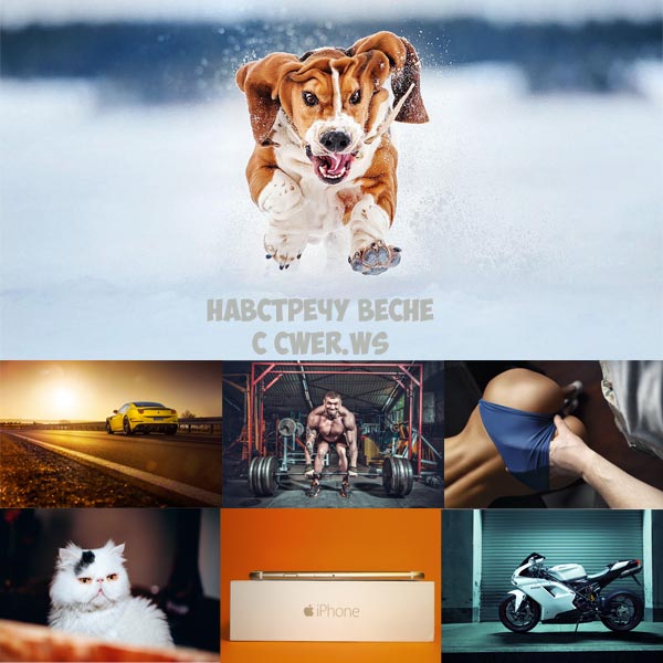 New Mixed HD Wallpapers Pack 370