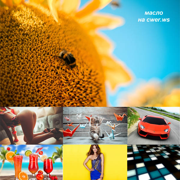 Best Mixed Wallpapers Pack #447-448