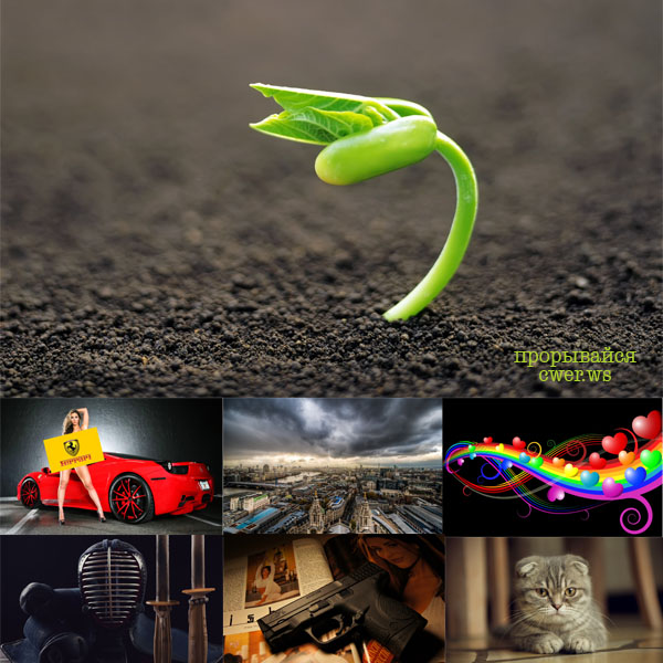 New Mixed HD Wallpapers Pack 252