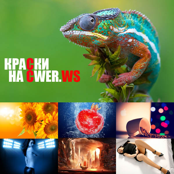 New Mixed HD Wallpapers Pack 137