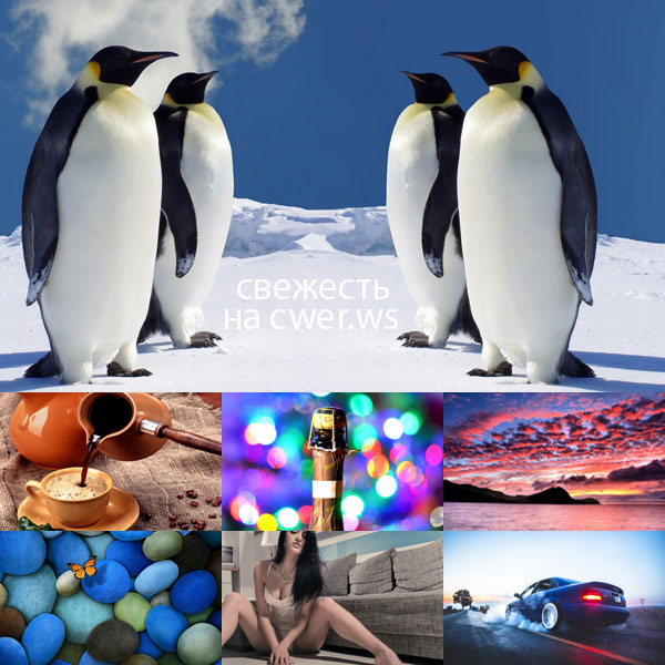 Best Mixed Wallpapers Pack #337-338