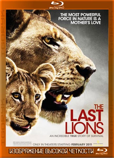 Последние львы (2011) HDRip