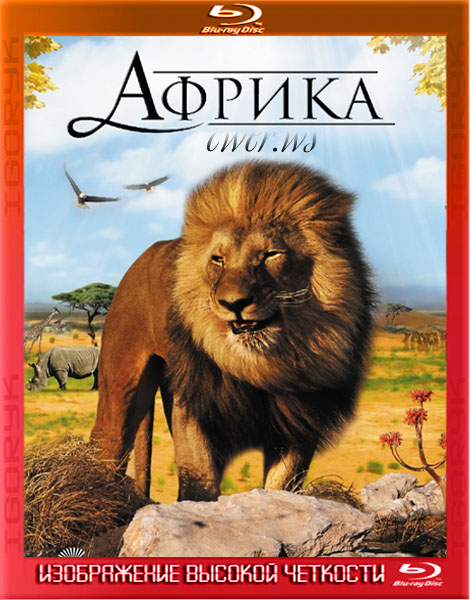 Африка (2011) HDRip + BDRip