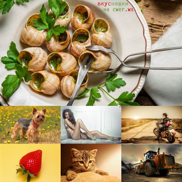 Best Mixed Wallpapers Pack #301-302
