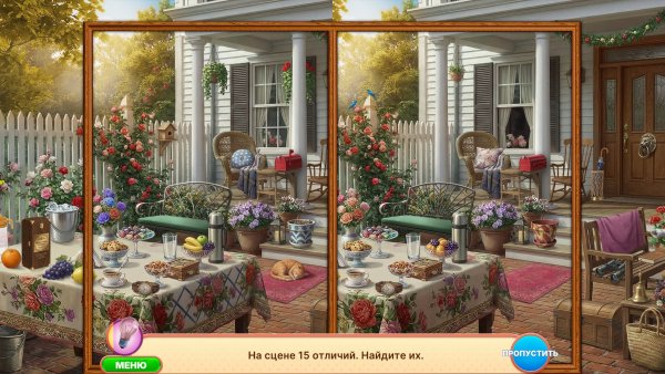 Sweet Home Look and Find 7 Collector’s Edition
