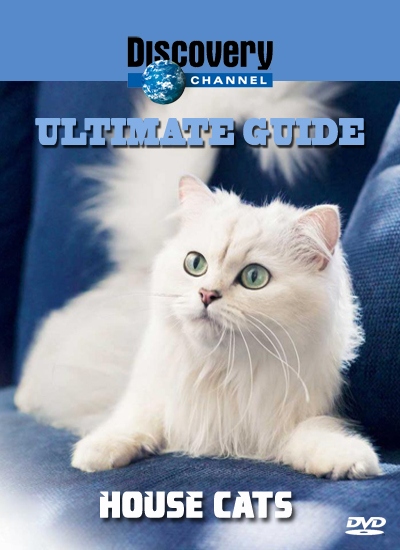 Идеальный путеводитель: Домашние кошки