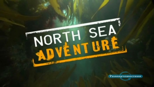 Приключение в Северном море