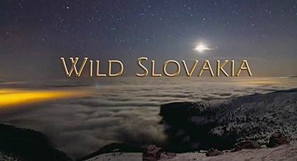 Дикая природа Словакии