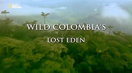 Потерянный рай Колумбии