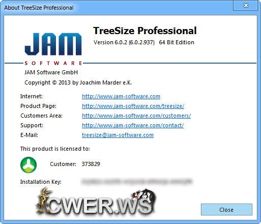 TreeSize Professional 6.0.2.937