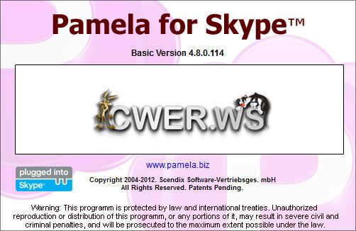Pamela for Skype Basic 4.8.0.114
