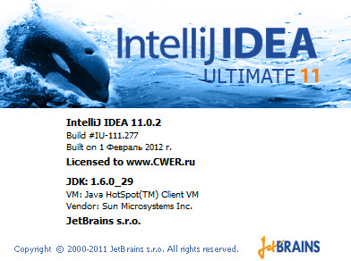 IntelliJ IDEA 11.0.2 Ultimate Edition