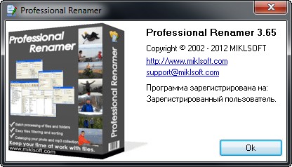 Professional Renamer