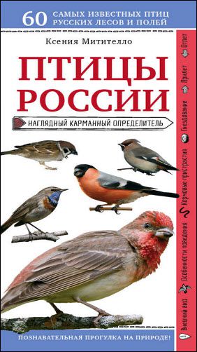 Ксения Митителло. Птицы России. Наглядный карманный определитель