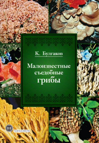Касим Булгаков. Малоизвестные съедобные грибы
