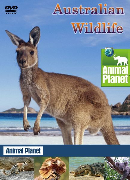 Animal Planet. Жемчужины дикой природы Австралии