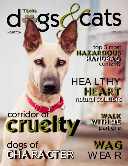 Texas dogs & cats №3 (March 2012)
