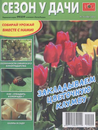 Сезон у дачи №9 (апрель 2012)