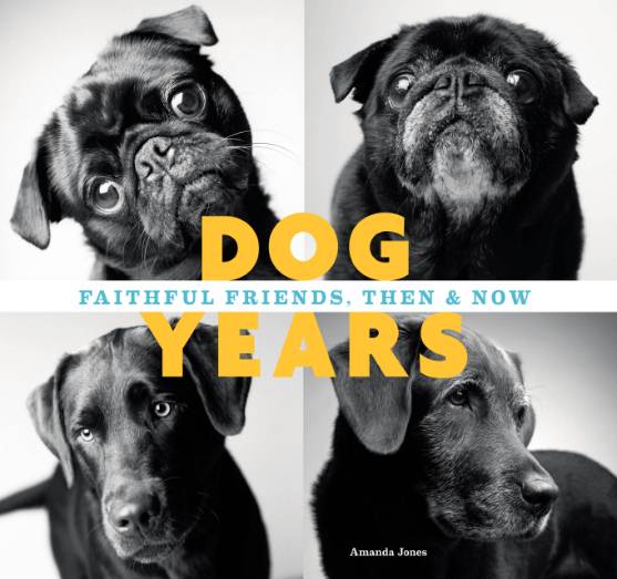 Dog Years: Faithful Friends, Then & Now