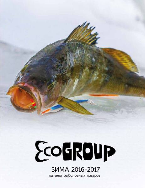 EcoGroup (зима 2016-2017)