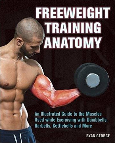 Freeweight Training Anatomy