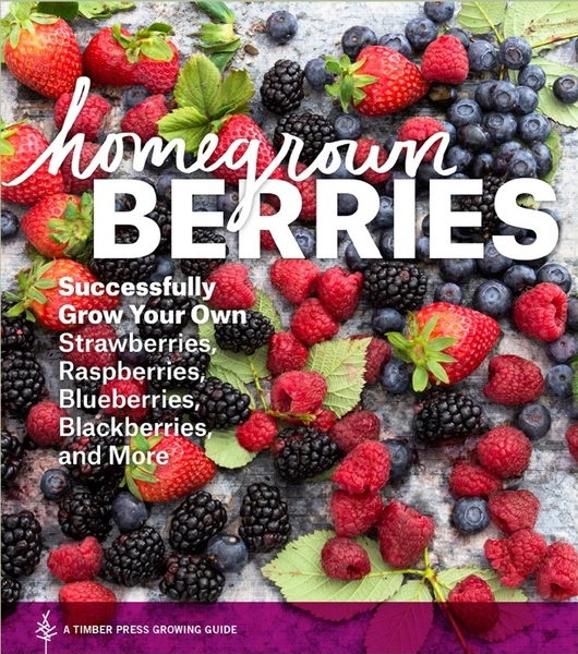 Teri Dunn Chace. Homegrown Berries